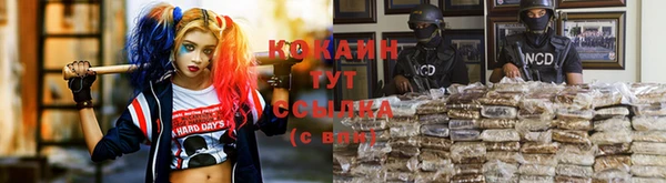 мет Абаза